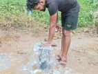 Tube Well Service - Polgahawela