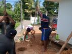 Tube Well Service - Rajagiriya