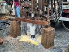 Tube Well Srilanka