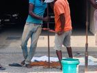 Tube Well Work Concrete Filling නල ළිං ඉදිකිරීම් - Athurugiriya
