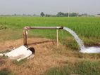 Tube Wells - Buttala