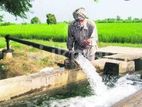 Tube Wells Service - Bandarawela