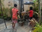 Tube Wells Service (Kegalle)