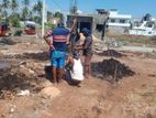 Tube Wells Service - Ratmalana