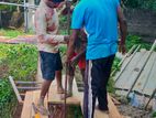 Tube Wells Shoring Filling - Colombo 11