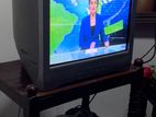 Tv Singer 24 Inch