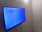 tv hisence