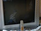 TV / Washing Machine