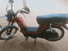 TVS 2006