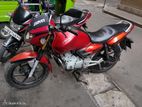 TVS Apache 150 2008