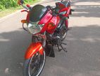 TVS Apache 2008