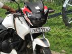 TVS Apache Elovil 2017