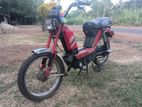 TVS champ 2010