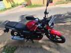 TVS Raider 125 2024