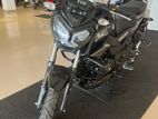 TVS Raider 125 Brand New 2026