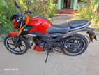 TVS Raider 125 2024