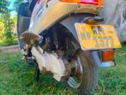 TVS Scooty Pep+ 2013
