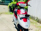 TVS Scooty Pept 2008