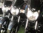 TVS Sport 110 2025