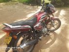 TVS Star Sport starspot 2008