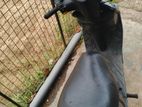 TVS Streak 2011