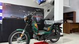 TVS XL 100 48cc 2020