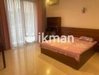 Two Bed Room Fully Furnished Apartment for rent in Colombo 8