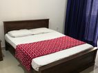 Two Bhk Apartment Marine Drive