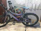 Two Bicycles