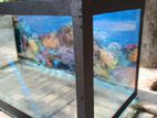 Two Feet Fish Tank