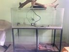 Two Fish Tanks (3ft/1 1/2ft