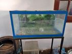 Fish Tanks