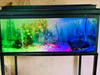 Two Fish Tanks with all accessories