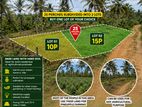 Two Land Blocks or 25P Entire at ASP estate, Halpe, Padukka