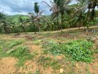 Two Land Blocks or 25P Entire at ASP estate, Halpe, Padukka
