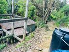 Two Land Plots for Sale- Ella