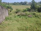 Two Lands for Sale Wadduwa, Mestiya