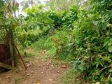 Two Plots of Bare Land in Kudahakapola South - Ja Ela