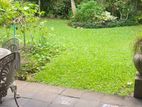 Two Storey House 4 Rooms Indoor Garden Sale in Havelock Road Colombo 6