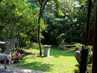 Two Storey House 4 Rooms Indoor Garden Sale in Havelock Road Colombo 6