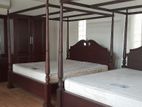 Two Storied House For Rent in Colombo 10 - PDH207