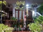 Two Story 5 Bedroom House for Sale in Colombo 8