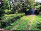 A Two-Story 4 Bedroom House for Sale Kelaniya | ikman