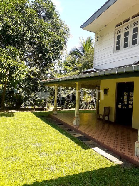 Two-Story House With Mixed-Crop Plantation For Sale In Dompe | ikman