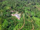 Two Villa For Sale in Pussellawa (nuwara eliya road)