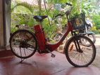 Electric Bicycle