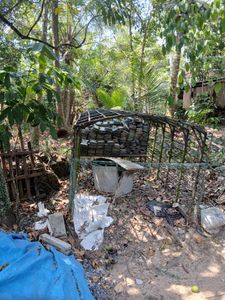 10.5 Kuduwa for Sale