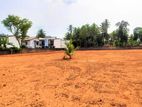 121P Valuable Land in Gampaha City