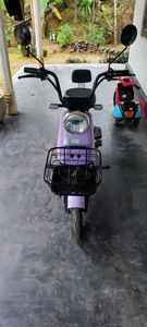 Electric Scooter 2025 for Sale