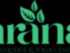 Account Assistant - Female